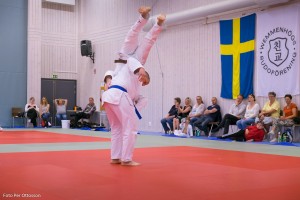 20160508 108 - Per Ottosson